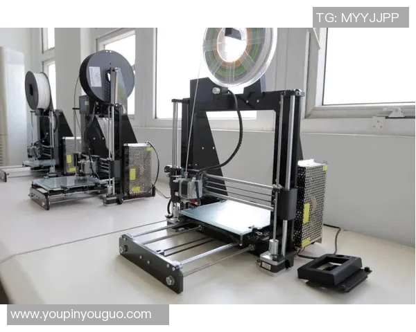 上海注册泰勒服务全解析助您轻松开启创业之路